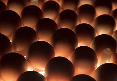 壹定发(中国集团)官方网站