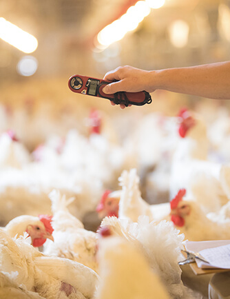 壹定发(中国集团)官方网站