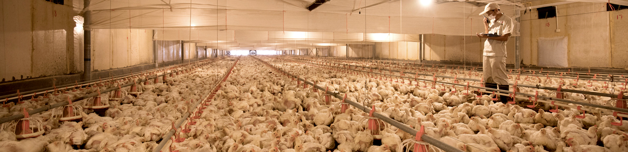 壹定发(中国集团)官方网站