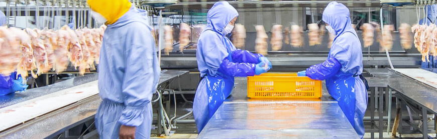 壹定发(中国集团)官方网站