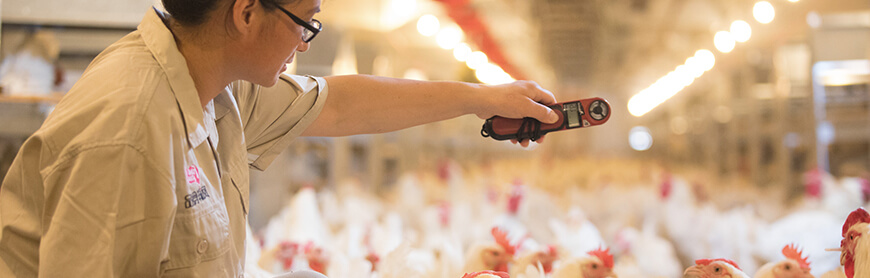 壹定发(中国集团)官方网站