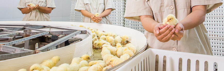 壹定发(中国集团)官方网站