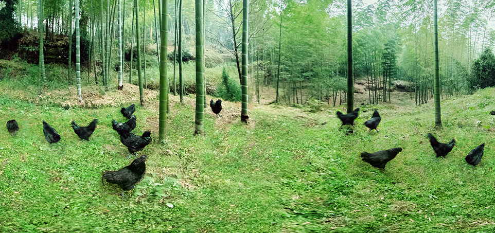 壹定发(中国集团)官方网站