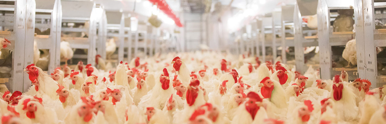 壹定发(中国集团)官方网站