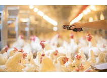 壹定发(中国集团)官方网站