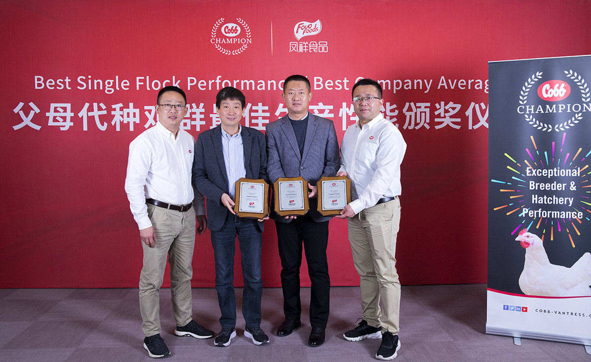 壹定发(中国集团)官方网站